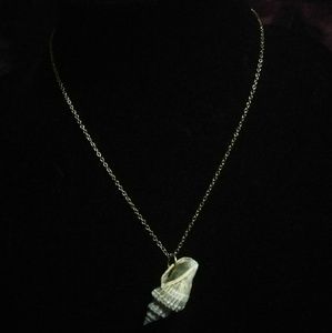 Natural Florida shell necklace in gold tone
